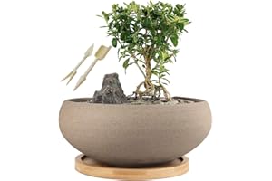 MUZHI Round Unglazed Ceramic Bonsai Pot with Bamboo Tray, Large Rough Pottery Succulent Planter with Drainage Hole 8 inch
