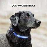 MASBRILL Light Up Dog Collar Blue S USB Rechargeable Waterproof 3 Modes view 5