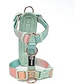 TSPRO Adjustable Dog Harness, Lightweight Gradient Vest for Small Dogs | Quick-release buckle, breathable polyester, H-shaped design for daily walks and training, Yellow-Green Gradient, Size 1