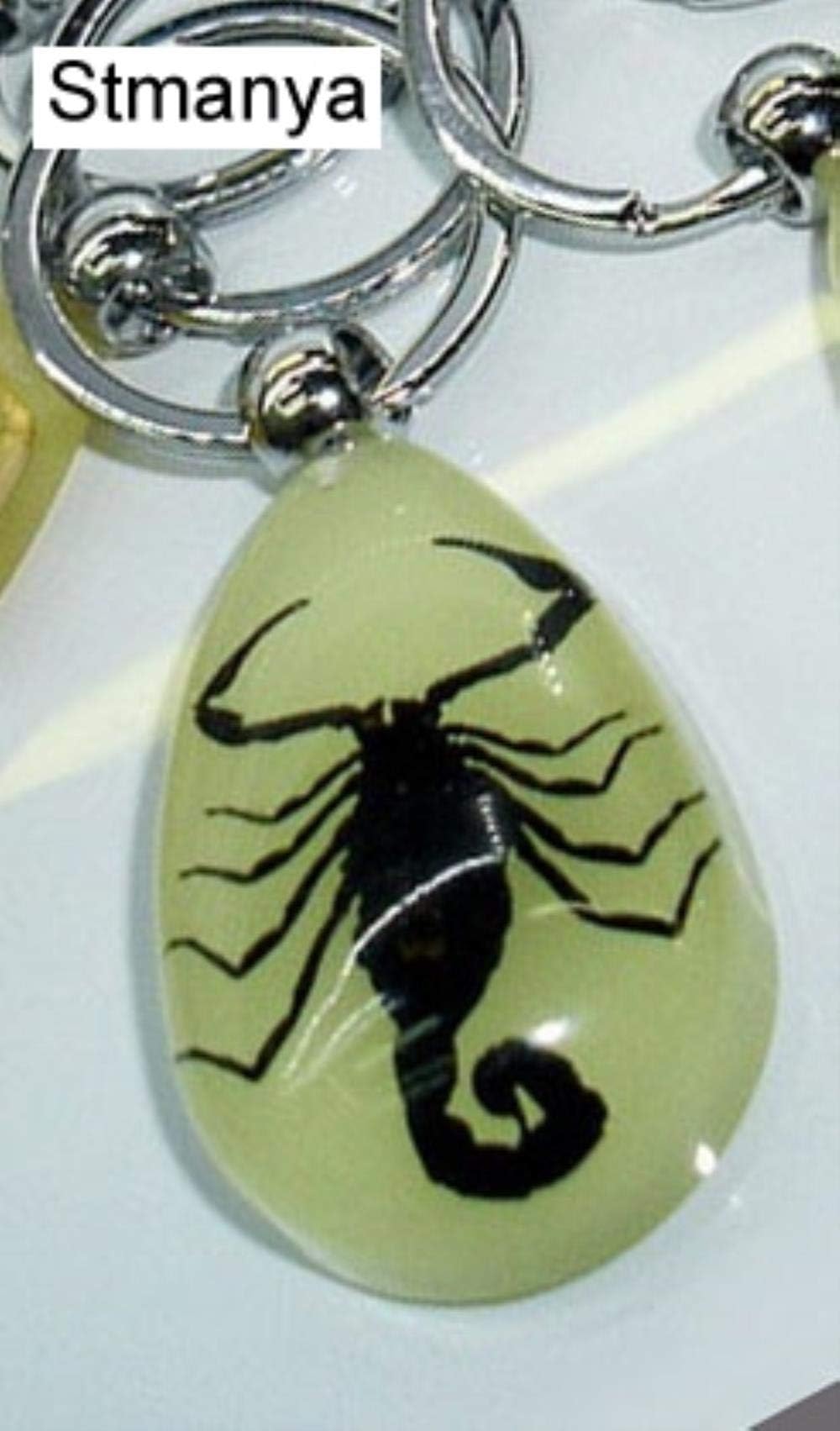 HKRT Luminous Scorpion Keychain - New Luminous Product Real Crab and Scorpion Key Chain bag Car key ring,Black Scorpion