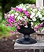 Bloem GU18-00 Grecian Urn Planter, 18