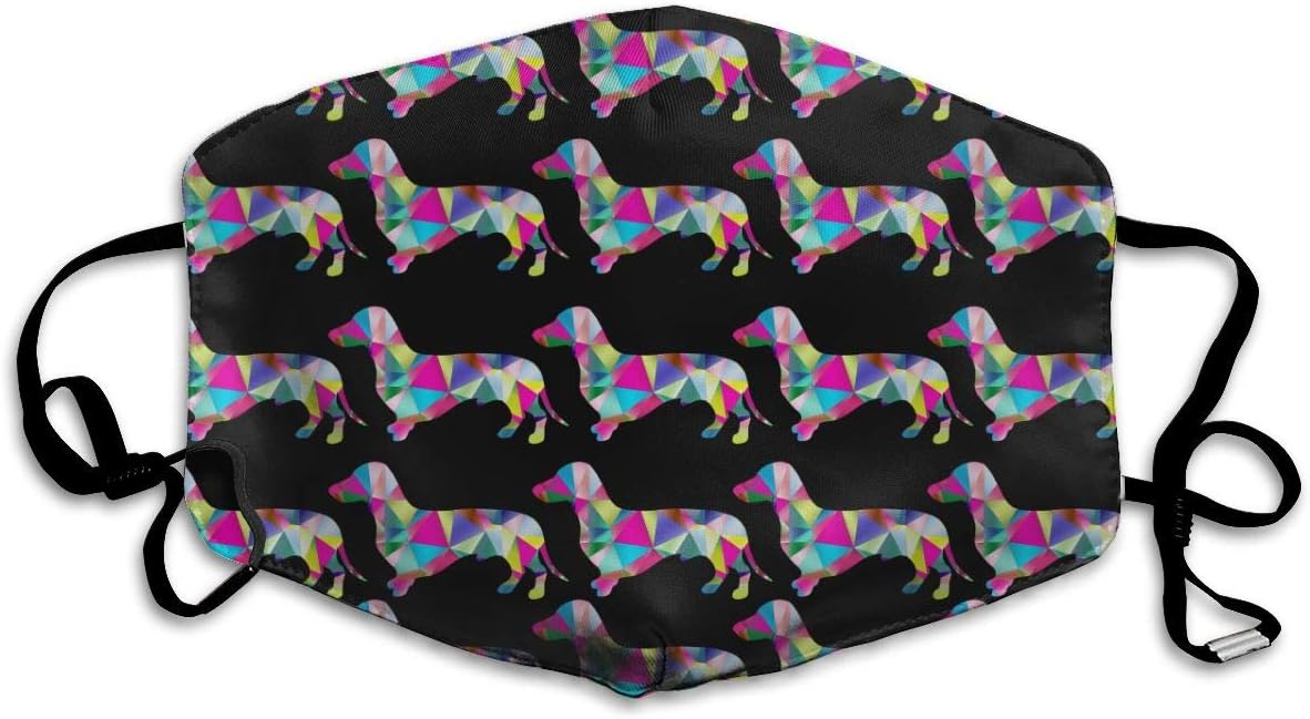 NEWINESS Premium Men Women Breathable Indoor Outdoor Half Face Mask - Adjustable Dustproof Anti Pollution Pollen Safety Medical Mouth Mask Prismatic Triangular Dachshund