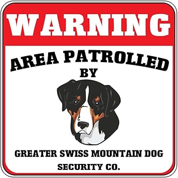 amazon commercial with bernese mountain dog