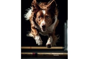 Dog Sport Planner