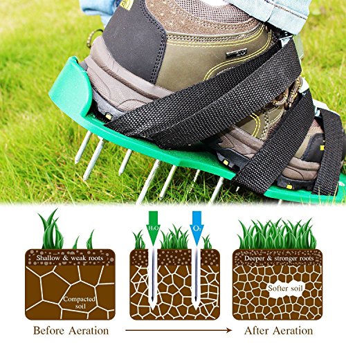 SingPad Lawn aerator shoes,Heavy Duty Aerator Sandals w/Metallic Buckles and 8 Straps,Storage Bag, Spiked Sandals Shoes for Aerating Lawn,Yard,Grass, (Green)