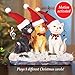 HAARBB Collections Etc Fiber Optic Musical Christmas Cat Trio Tabletop Décor - Plays 8 Christmas Carols