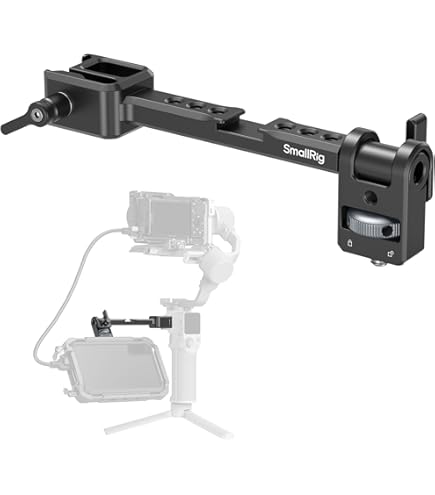 Amazon.com : Single Hand Weight Support Waist Belt Gimbal Hook