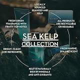 Scottish Fine Soaps Sea Kelp Hand Wash 300ml Refreshing Hand Soap view 2