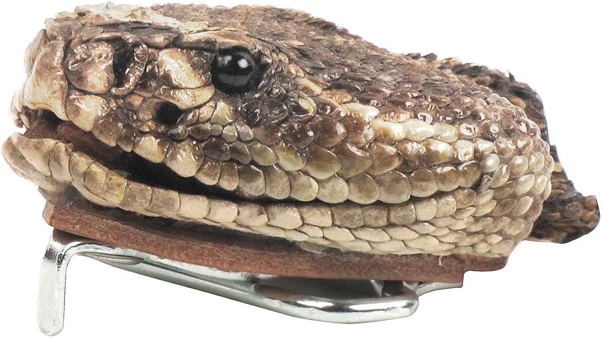 Treasure Gurus Genuine Taxidermy Real Rattlesnake Full Head