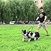 Dual Dog Leash Includes Bungee Coupler, Soft Padded Handle & Training Ebooks - Premium Quality - Tangle Free Double Dog Walker for Two Dogs - Ideal for Medium to Large Dogs