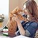Vet's Best Cat Urinary Supplement, Urinary Tract Support Chewable for Cats, Supports A Healthy Urinary Tract in Cats, 60 Chewable Tablets