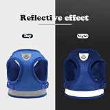 Anlitent Soft Mesh No Pull Cat Harness and Lead Set Blue Small view 8