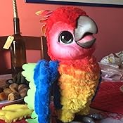 martino il pappagallo canterino come registrare