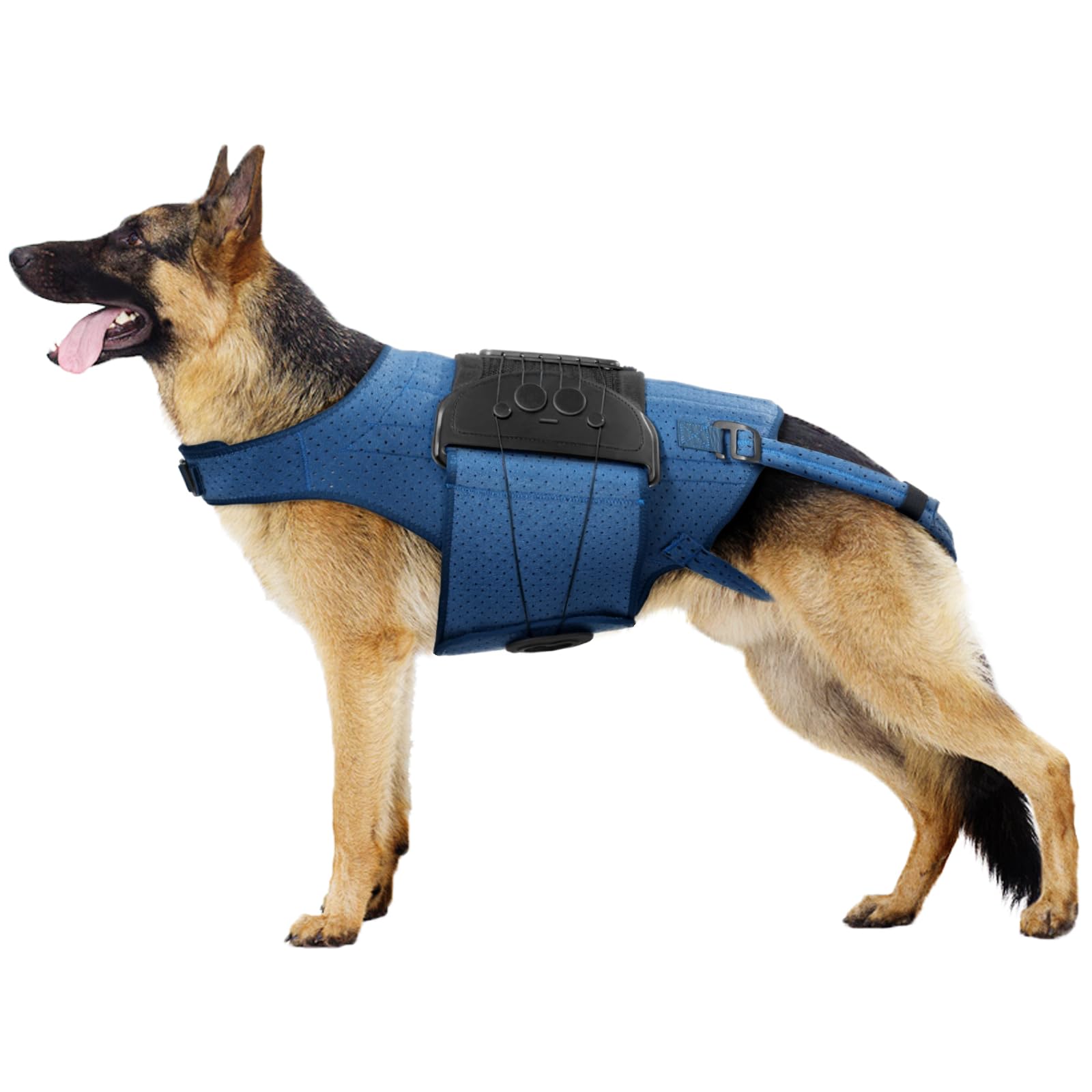 Dog Back Brace for IVDD, Arthritis, Slipped and Herniated Discs ...
