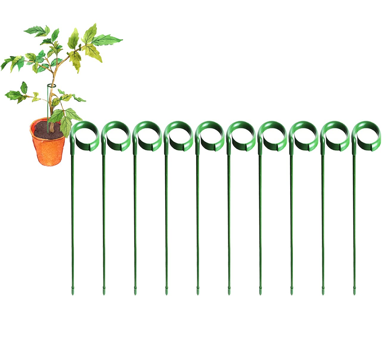 Kizirl 10 pcs Single Stem Plant Support Stakes,Fiberglass Durable Anti-Rust Fade Tall Plants Cage Support Ring,for Flowers, Tomatoes, Peony, Lily, Rose(30cm/45cm/60cm) (60cm)