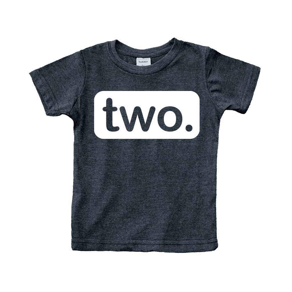 Second Birthday Boy Shirt, 2nd Birthday Shirt for Boys (2T