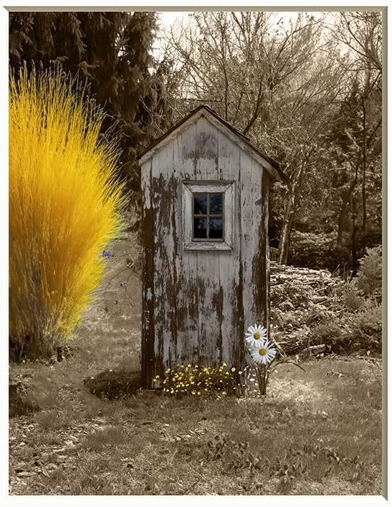 Photographs - Bathroom Wall Decor, Rustic Modern Farmhouse Outhouse Daisy Flowers Photography Wall Art (8x10 photo with 11x14 mat, Yellow)