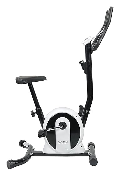 cockatoo exercise bike