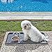 Dog Deterrent & Repeller
