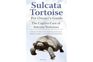 Sulcata Tortoise Pet Owners Guide. The Captive Care of Sulcata Tortoises. Sulcata Tortoise care, behavior, enclosures, feeding, health, costs, myths and interaction.
