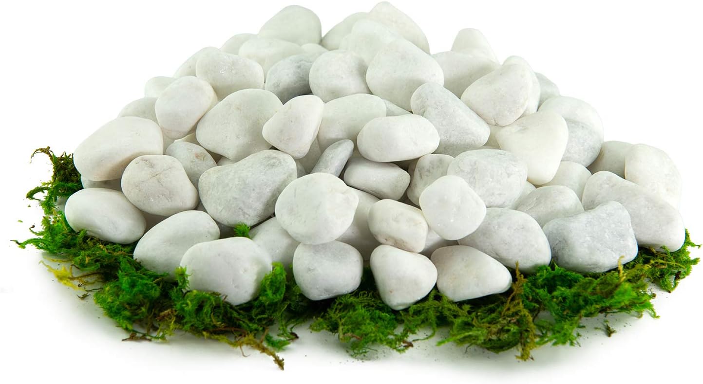 Southwest Boulder & Stone Porcelain White Pebbles | 10 lbs | Natural Rocks, White Stones for Potted Plants, Gardening, Succulents, Aquariums, Terrariums, and More (1/2 Inch - 1 Inch)