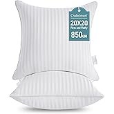 Oubonun 20 x 20 Throw Pillow Inserts, Firm and Fluffy Decorative Square Pillows for Couch Bed Sofa with Soft Cotton Cover White Cushion with Down Alternative Pack of 2