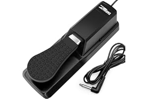 ZHRUNS Sustain Pedal Universal for Keyboard, Piano Pedal with Polarity Switch for Digital Piano