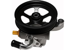 TUCAREST Power Steering Pump 96-2403 Compatible With 2008-2017 Bu-ick Enclave /2009-2017 Chevy Traverse /2007-2016 G-M-C Acadia /2007-2010 Sa-turn Outlook [OE# 20-2403 15285501 4910078J00]