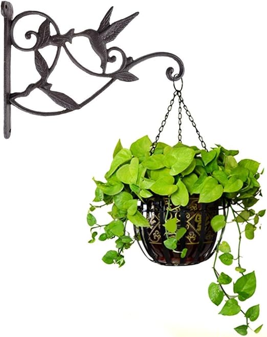 Amazon Com Plant Brackets For Hanging Baskets Hanging Plant Hook