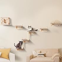 P*】様 猫家具　CAVE SHELF NY& CAVE SHELF｜飾り棚 ねこ家具｜NY& online shop