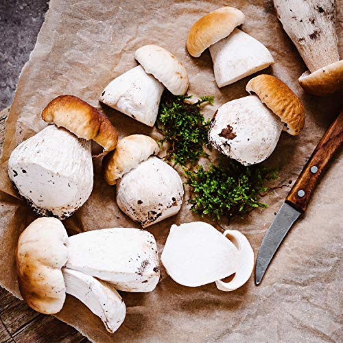 Whole Porcini Italian Mushrooms Frozen - 2.2 lbs.