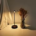 maglaw Rechargeable Cordless Table Lamps,Modern Battery Operated Table lamp,Portable LED Touch 2 Levels Brightness Dimmable Bar Lamp,Small Lamp in Aluminum for Bars,Restaurant,Living Room(Rust)