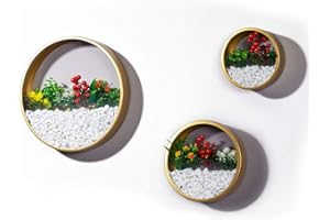 ZEETOON 3 Pack Set Modern Wall Planters Succulent Planter, Circle Metal Flower Pot Indoor Air Plant Vertical Container Hanging Vase Home Wall Decor Size S,M,L Golden, with 3 Artificial Succulent Plants