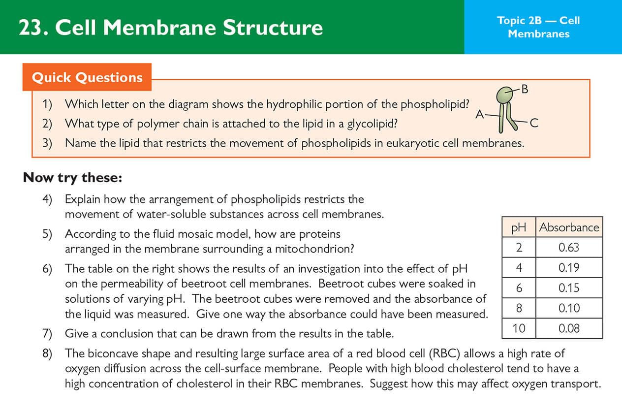 Mua A-Level Biology AQA Revision Question Cards: for the 2026 and 2027 ...