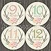 Baby Month Stickers Monthly Baby Girl Milestone Stickers Deer Antler Woodland Floral Flowers