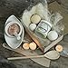 Coconut Milk Exfoliating Body Scrub - Natural Coconut Oil Skin Exfoliator for Face Hand Lip & Body with Sea Salt & Shea Butter, Acne & Eczema Treatment, Stretch Mark Scar & Cellulite Remover