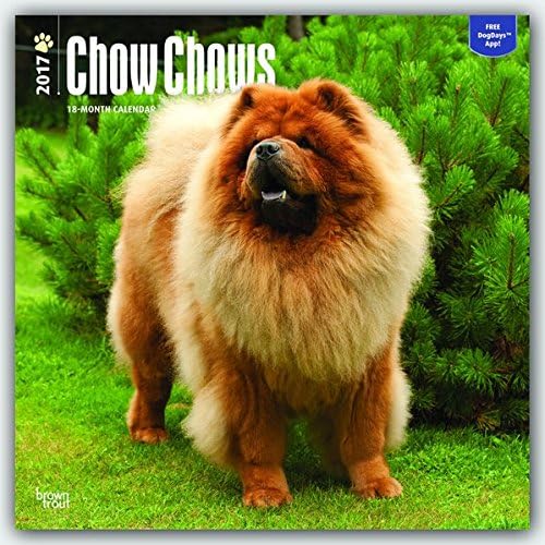 Chow Chows - 2017 Calendar 12 x 12in Calendar