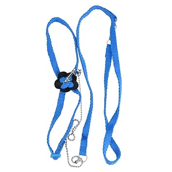Fdit Adjustable Leash Soft Bird Harness Parrot Intelligence Training Rings Toy for Budgie Parakeet Lovebird Finch Macaw African Grey Cockatoo (Blue, 0.31x47.24 In)