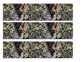 Whimsical Practicality Mossy OAK Camo Edible Icing Cake Border Strips