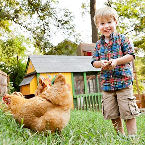 BMS Chicken Cage Pens Crate Chicken Coop Rabbit Cage Enclosure Exercise Pen Pet Playpen - Thumbnail 2