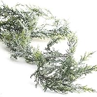 Factory Direct Craft 6 Feet of Snowy Artificial Cedar Pine Garland