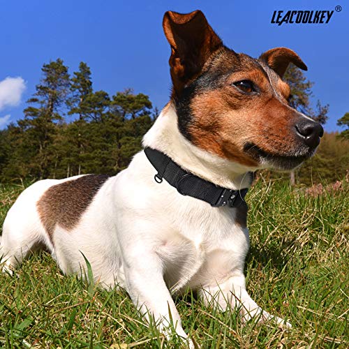 Adjustable Dog Collar with Safety Quick Release Buckle, Breathable Pet Collar for Medium Large Dogs, 100% 1000D Nylon Webbing, 4 Colors, 3 Sizes, 1.5” Wide