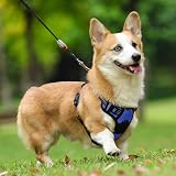 rabbitgoo Dog Harness Medium No Pull with 2 Leash Clips Reflective Blue view 9