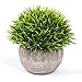 VANGOLD Lifelike Artificial Plants Plastic Grass Plants with Pots for Home/Office Decor (Green-1pcs)