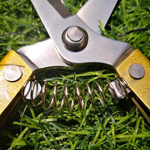 Pruning Shears Straight Tip Pruning Trimming Scissors Florist Scissors-Stainless Steel Ultra Sharp Multi-Purpose Hand Pruner Scissors for Garden Harvesting Fruits Vegetables, Trimming Flowers, Gold