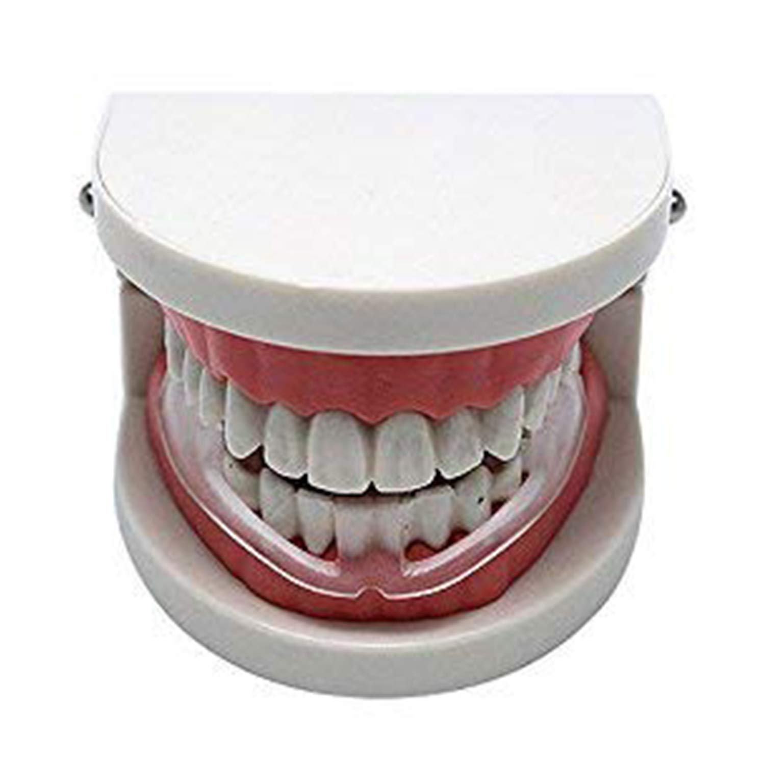 Anti Teeth-Grinding Dental Guard-Ready to use-No Boiling or Molding, Slim, Sleek and Comfortable Works for Upper and Lower Jaw, relieves pain and corrects TMJ and Bruxism : Beauty