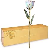 Forever Rose Hand-Dipped in 24K Gold, Opal Inspired October Birthstone with Sparkles, Real Rose in Luxury Gold Gift Box – Perfect Ready to Gift for October Birthday or Any Occasion