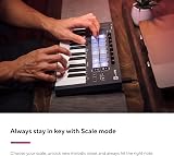 Novation FLkey Mini Portable 25-Key USB MIDI Keyboard Controller FL Studio view 3