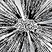 Furiosity