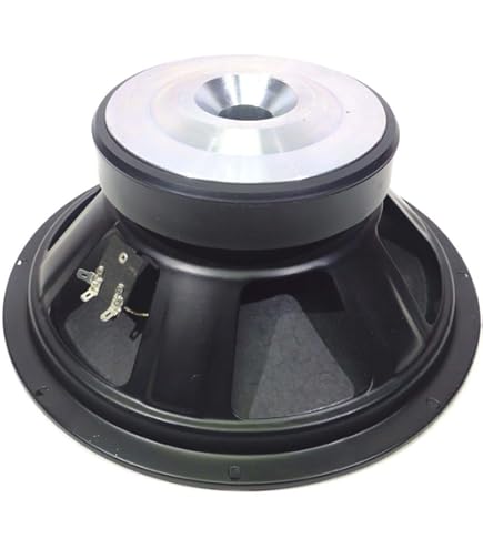 Amazon.com: ZXPC Driver Intended for QSC K Series Driver K8, K10